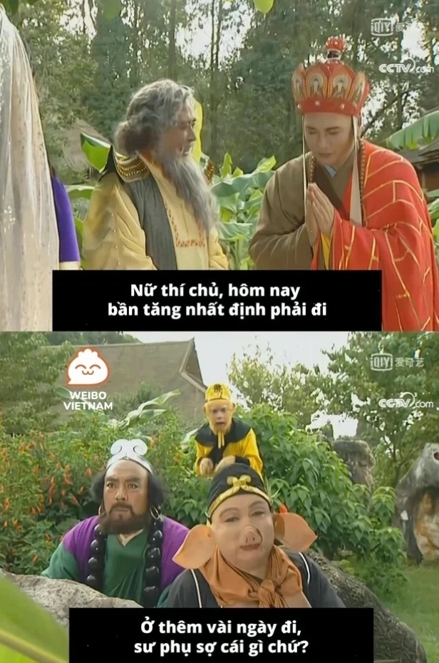 sư phụ meme tức giận