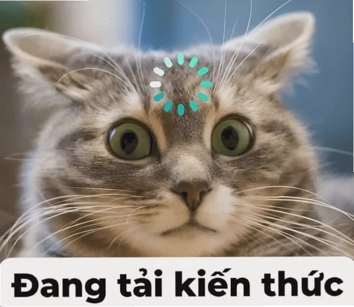 Sự thu hút của meme là gì trên facebook