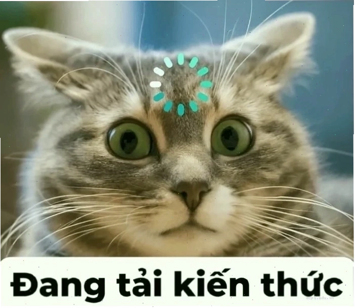 Sự thu hút của meme là gì trên facebook