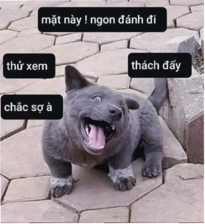 Sự tiến hóa của meme là gì trên facebook
