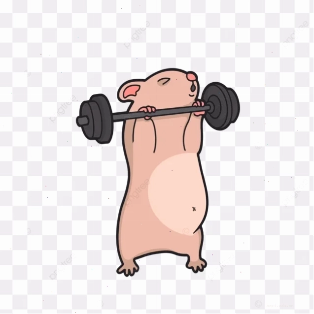 súc vật meme báo đen liếc