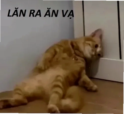 súc vật meme cáo nham hiểm