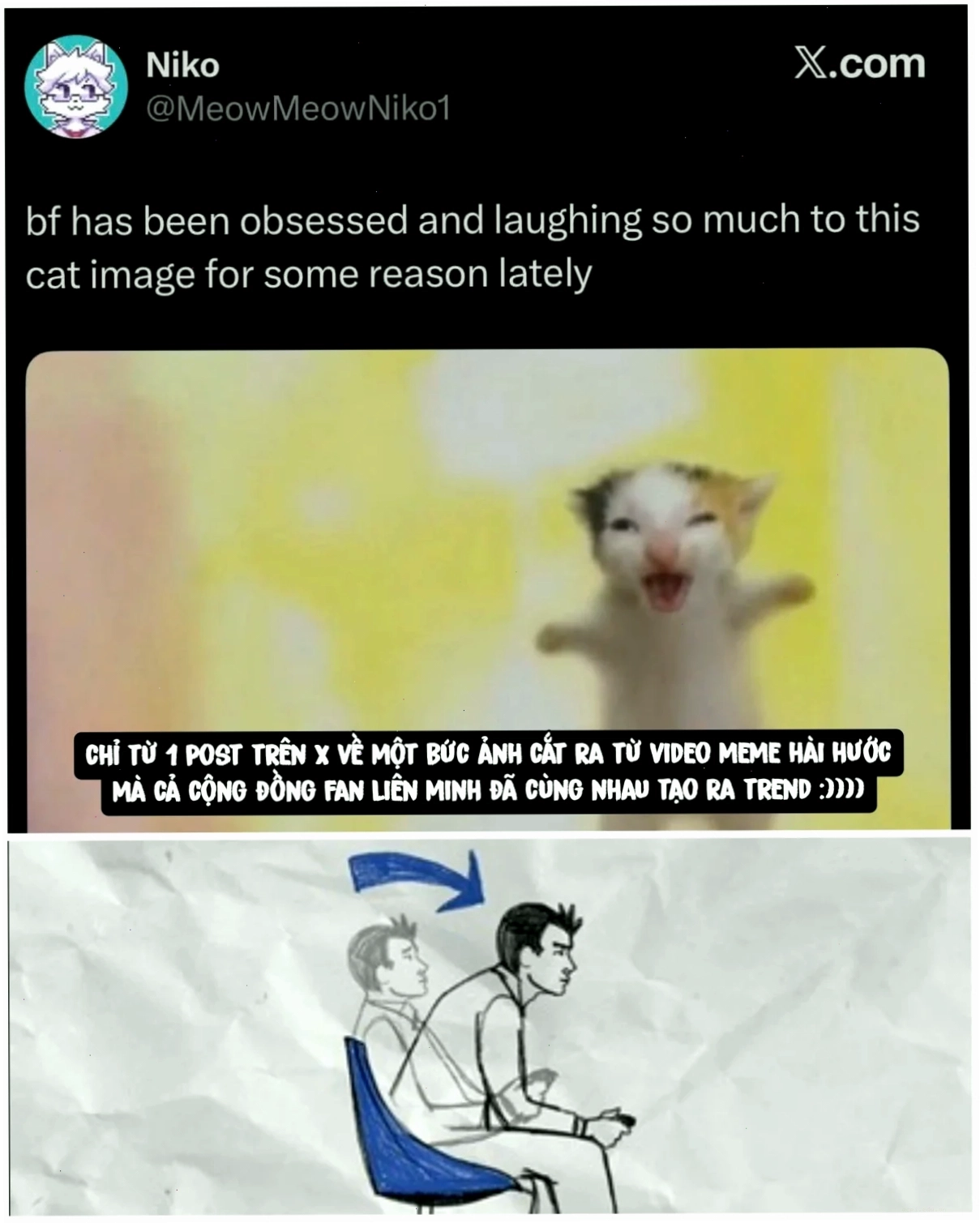 súc vật meme chim sẻ ngầu