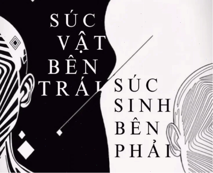 súc vật meme heo chill
