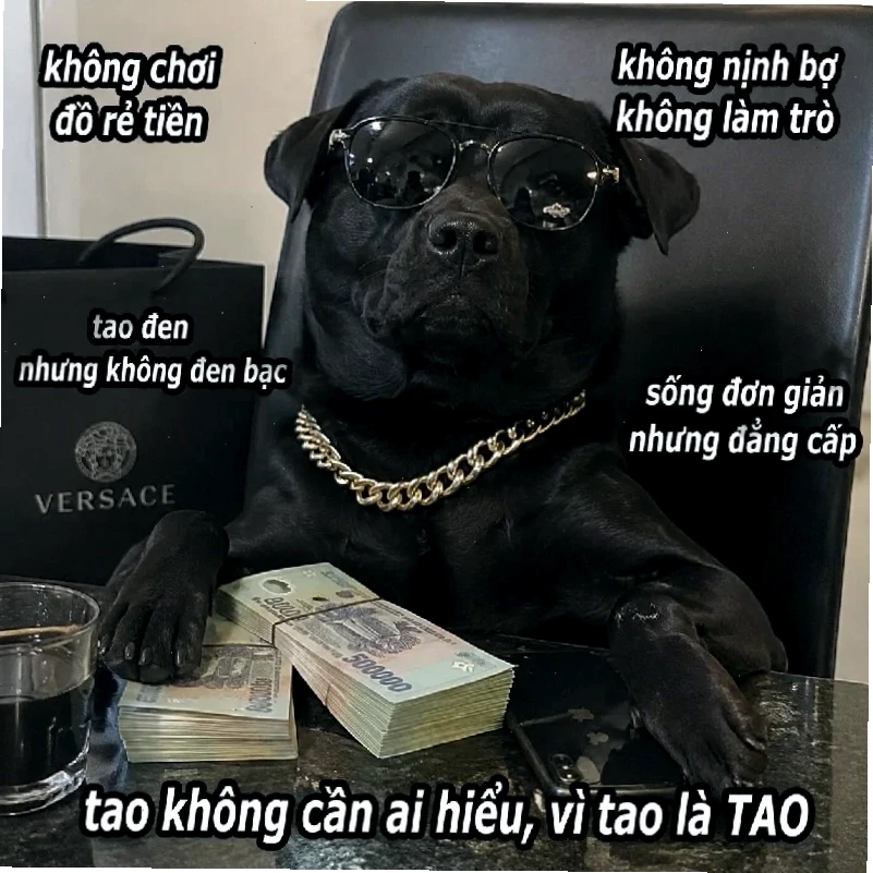 súc vật meme nai ngáo