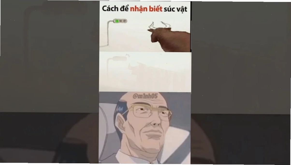súc vật meme sư tử nguy hiểm