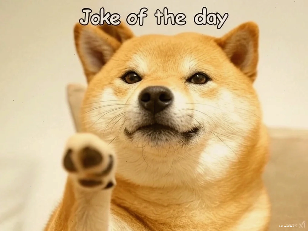súc vật meme tê giác sạc pin