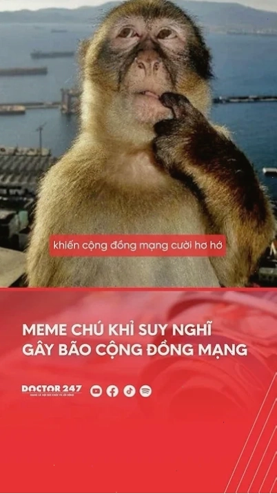 suy nghĩ meme chất lượng