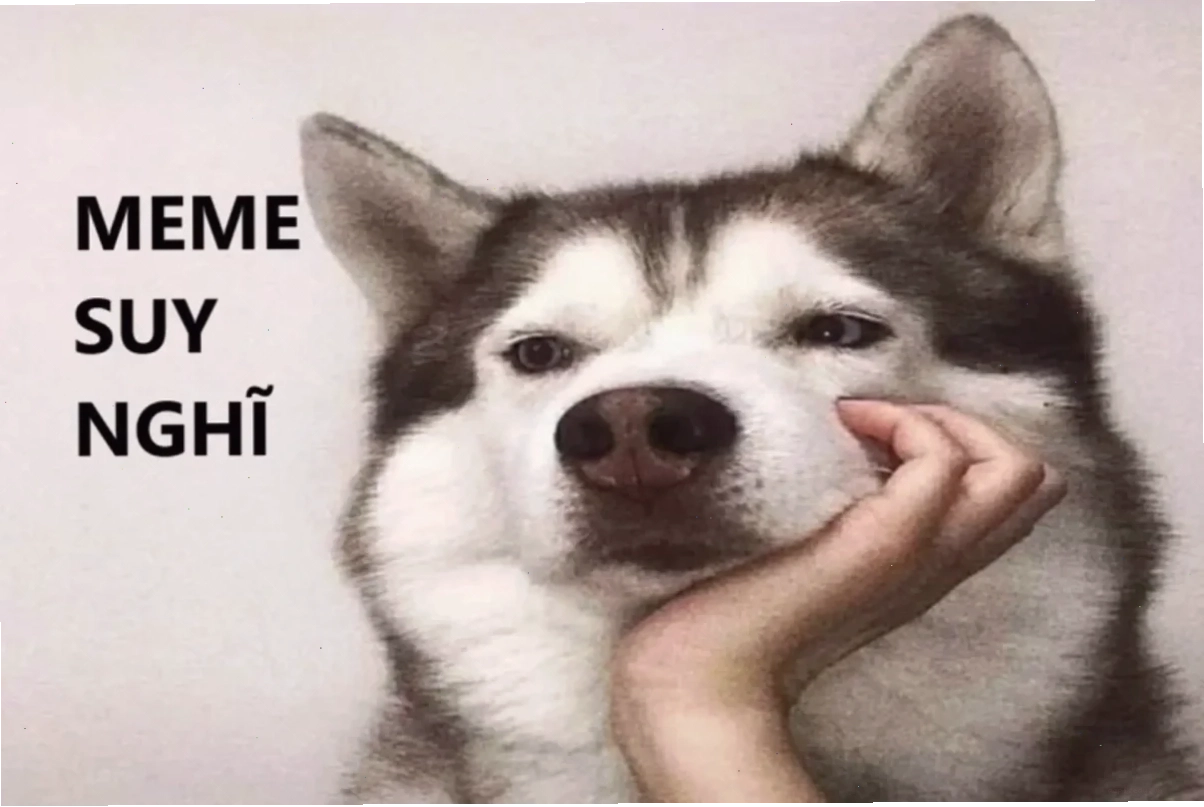 suy nghĩ meme dễ thương