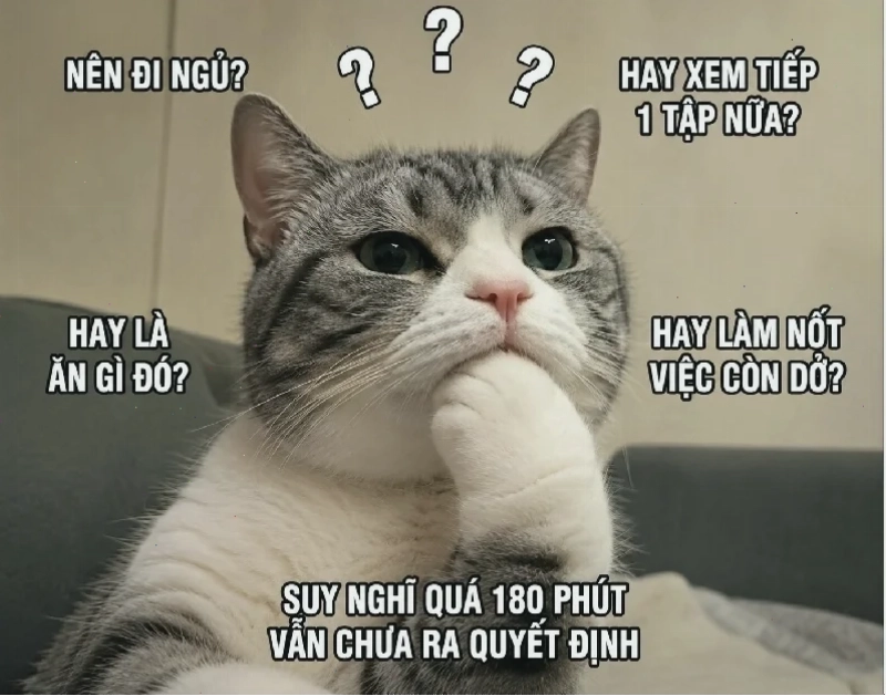 suy nghĩ meme độc đáo