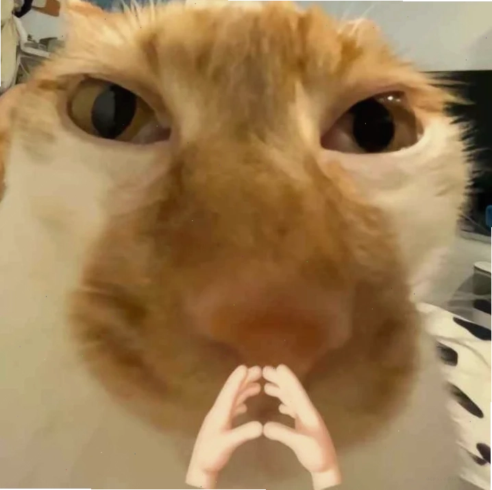 suy nghĩ meme độc lạ