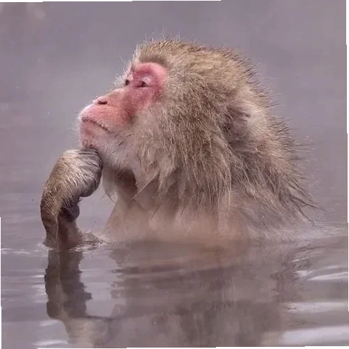 suy nghĩ meme đời sống