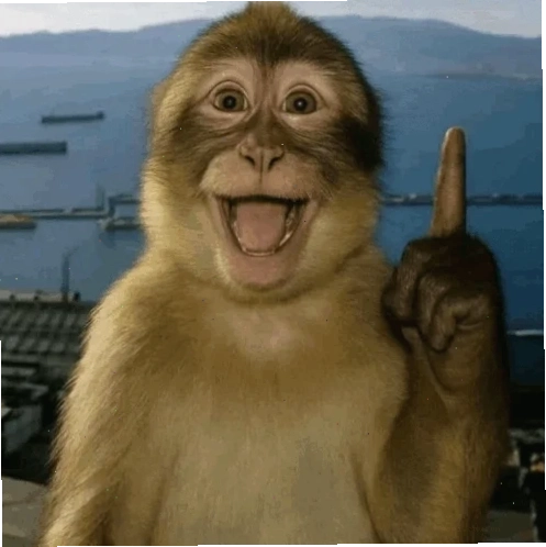 suy nghĩ meme lầy lội