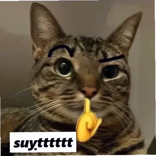 suỵt meme ếch