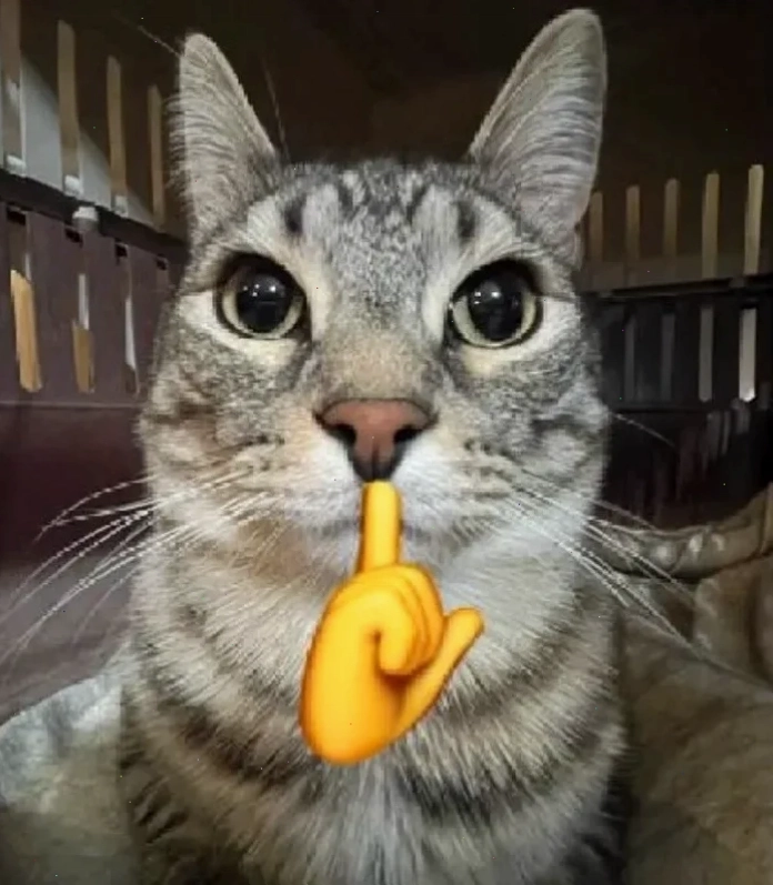 suỵt meme hài