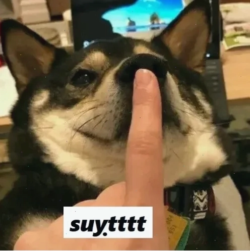 suỵt meme vui nhộn