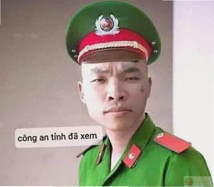 tao báo công an meme chú mèo đã báo công an
