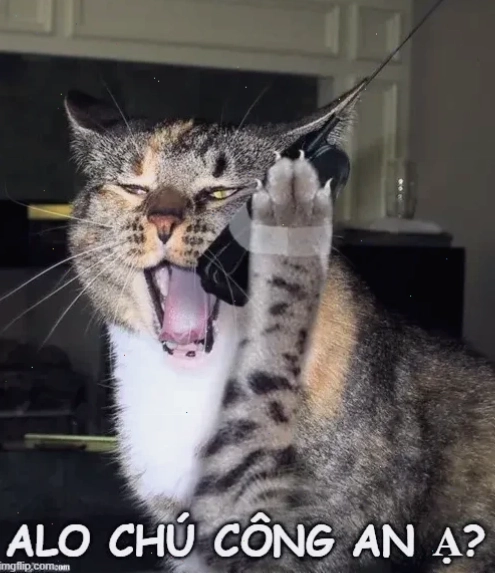 tao báo công an meme thái độ lầy lội