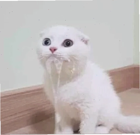 tạo video mlem meme với ai