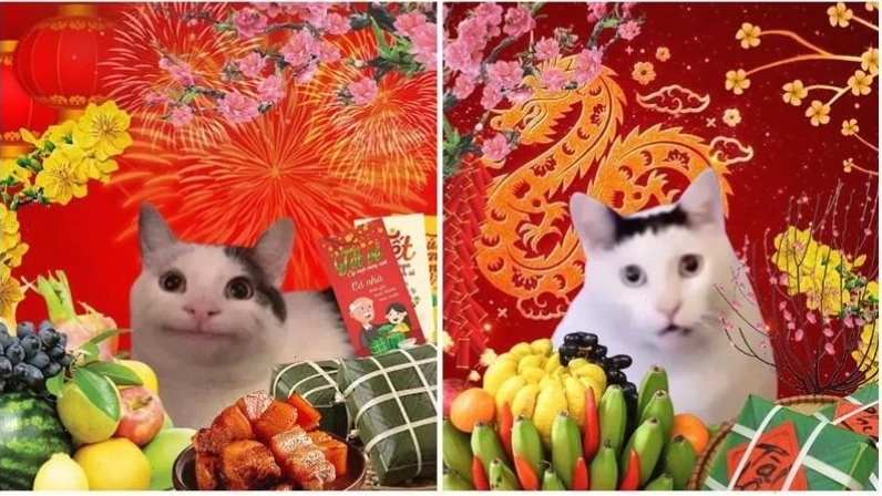 Tet meme sáng tạo