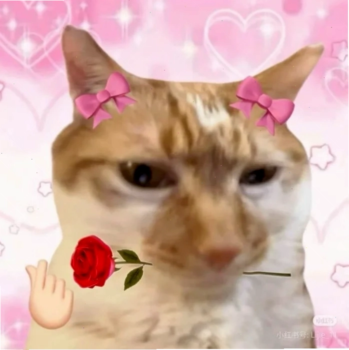 thả tim meme mèo