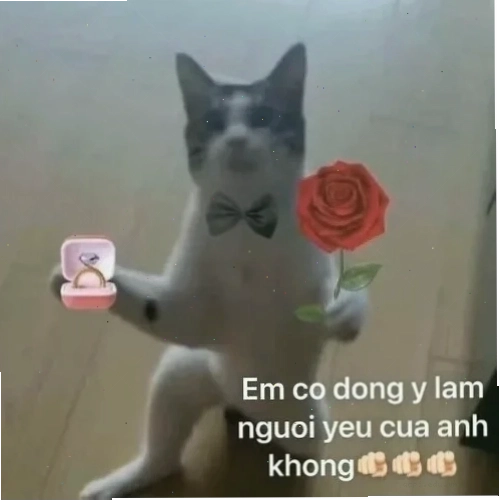 thất tình meme
