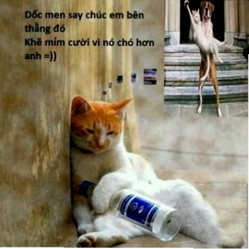 thất tình meme
