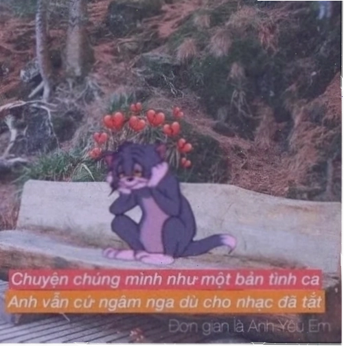 thất tình meme