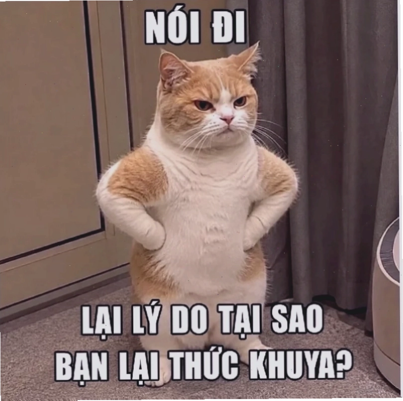 thất tình meme