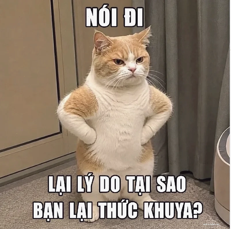 thất vọng meme