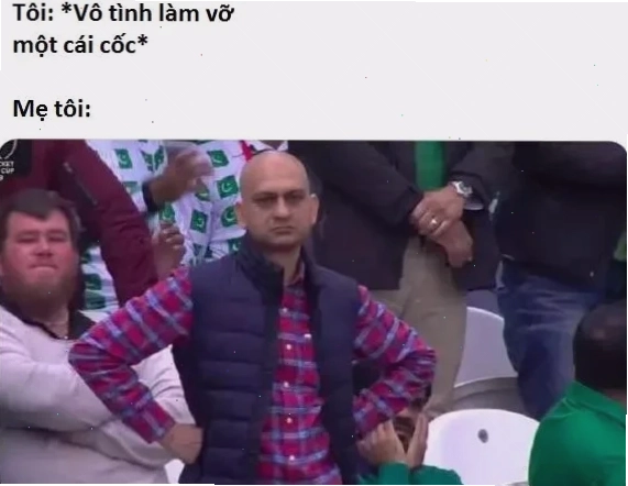 thất vọng meme