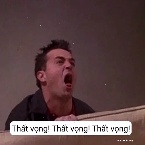 thất vọng meme