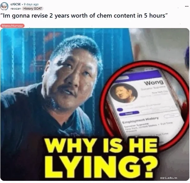 the meme the meme