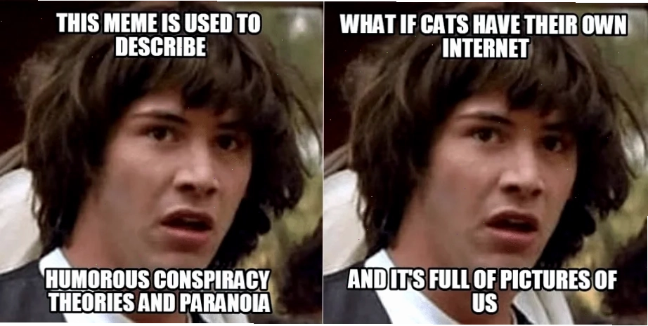 the meme the meme
