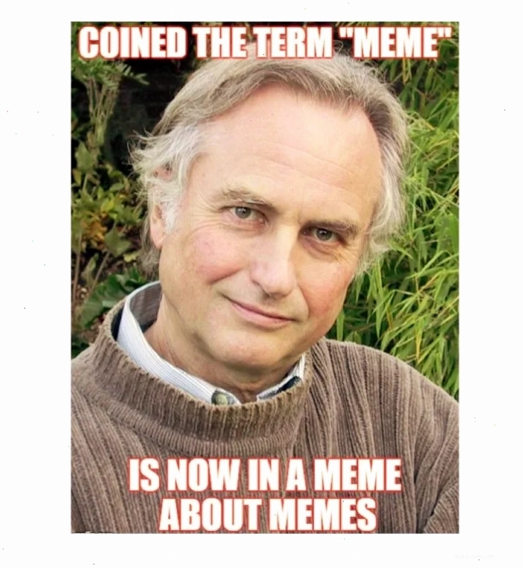 the meme the meme