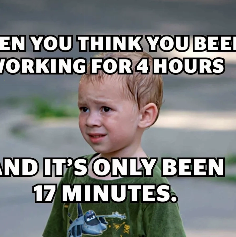 the meme the meme