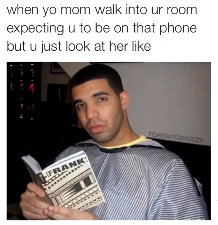 the meme the meme