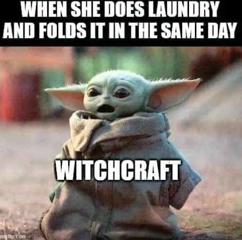 the meme the meme
