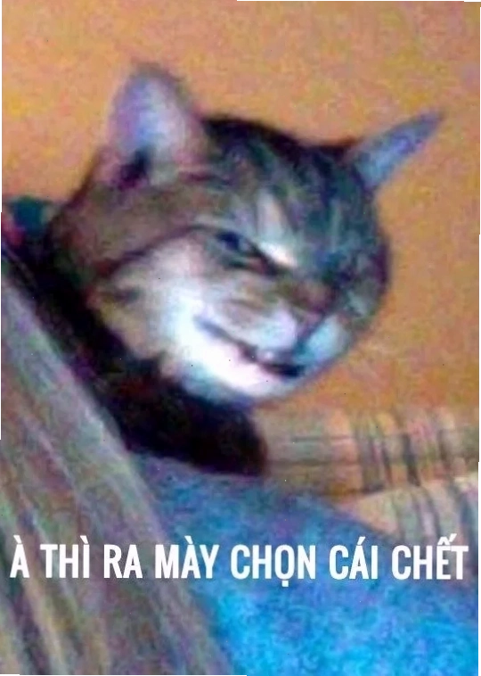 thì ra mày chọn cái chết meme trên mạng