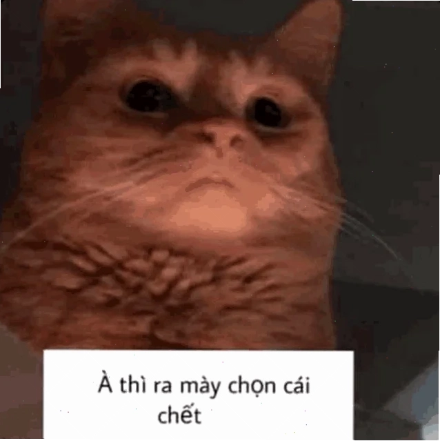 thì ra mày chọn cái chết meme trong vlog