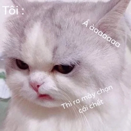 thì ra mày chọn cái chết meme tương tác