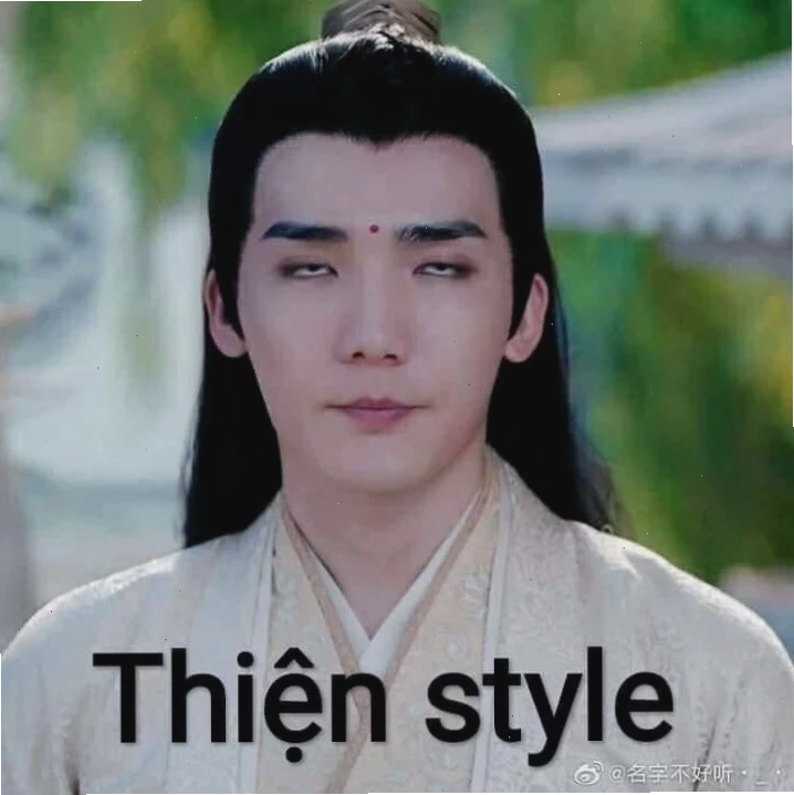 thiện tai meme
