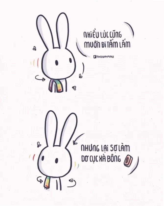 thỏ 7 màu meme