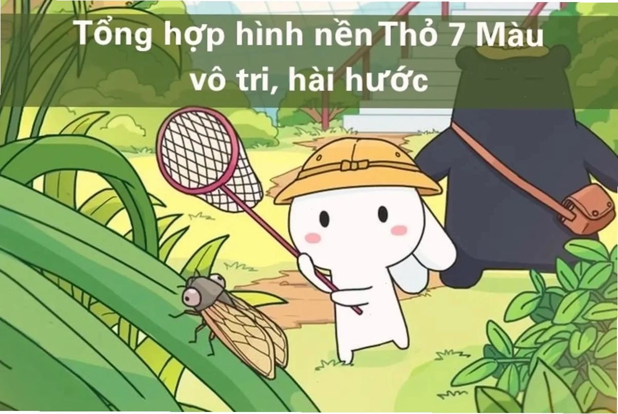 thỏ 7 màu meme