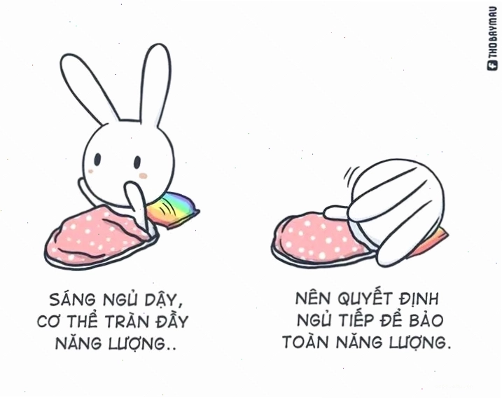 thỏ 7 màu meme