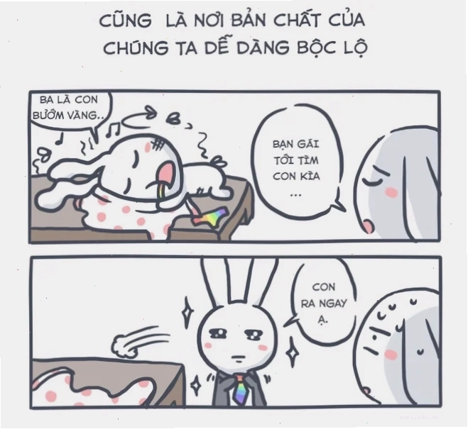 thỏ bảy màu ngáo ngơ