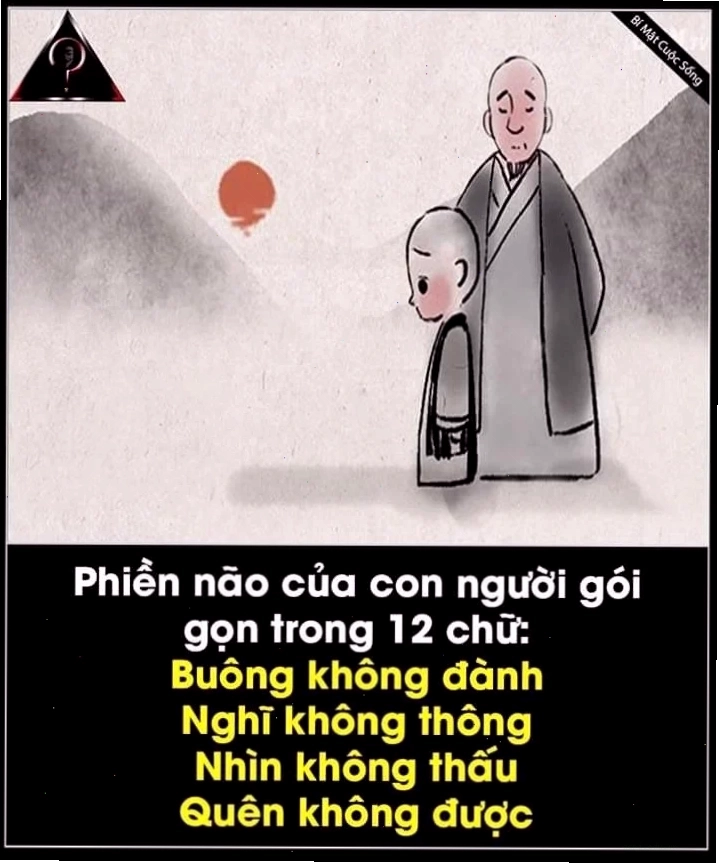 thông não meme cười