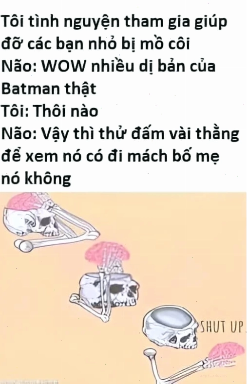 thông não meme cười