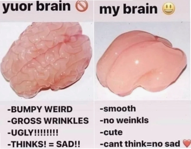 thông não meme hài