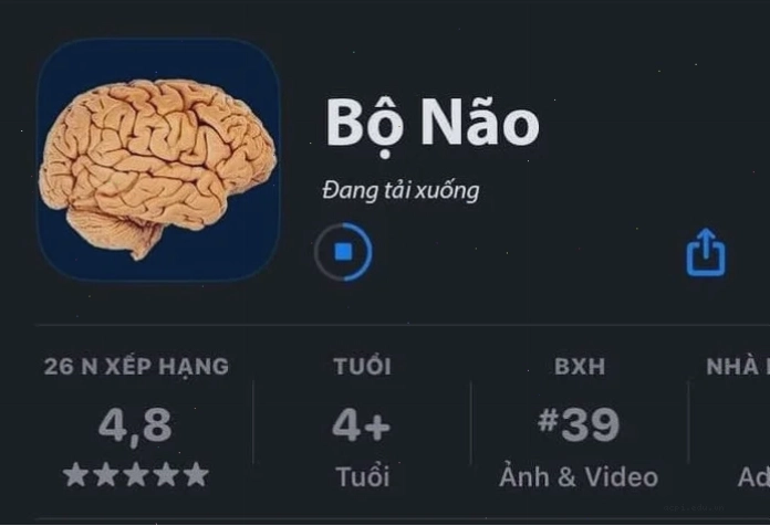 thông não meme hài